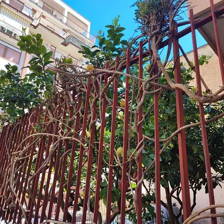 Apartmán Genoard Palermo